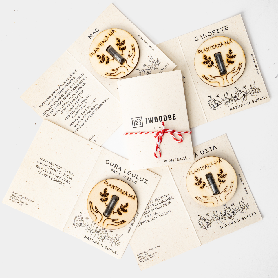 SET OF 6 PLANTABLE Spring Token