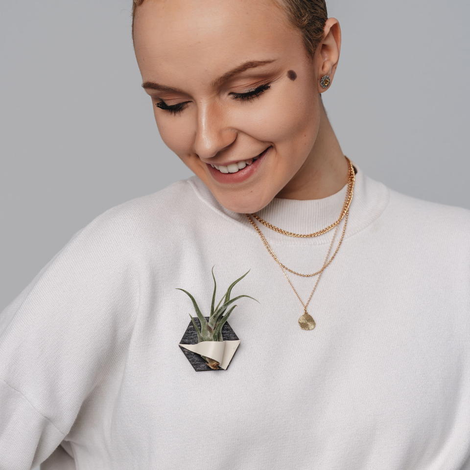AIR PLANT Spring Token Caput Medusae Baby