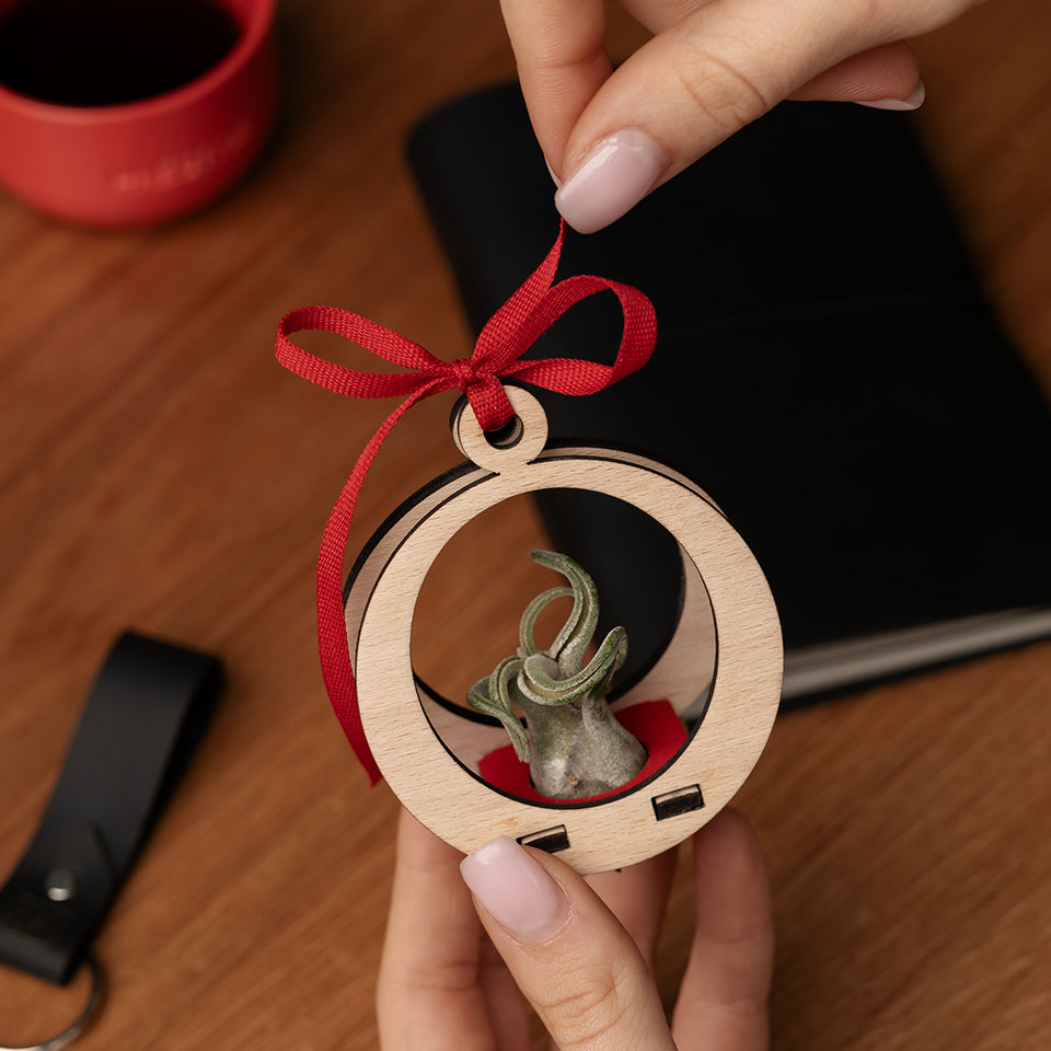 PLANT BLACK DIARY PACKAGES