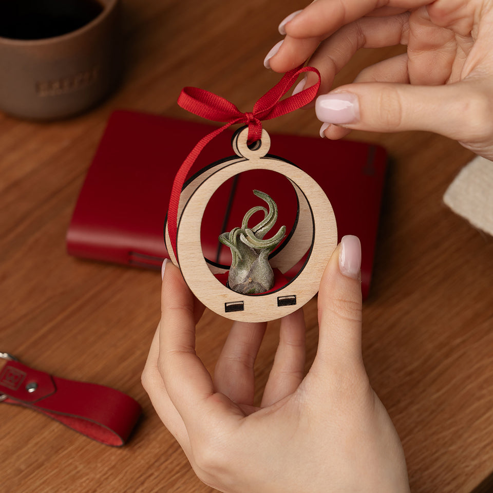 RED PLANT DIARY PACKAGES