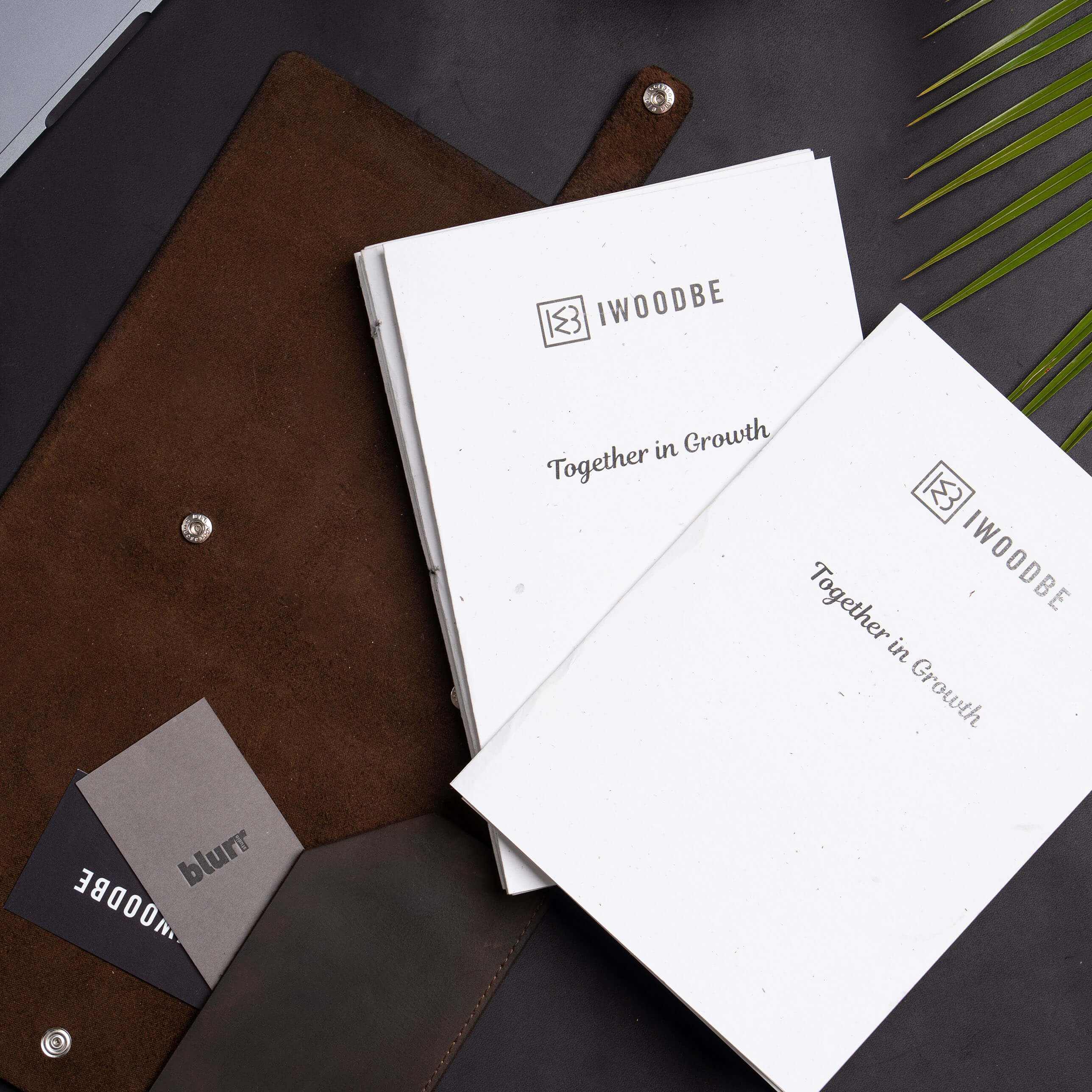 PACHET CLIENT/ FURNIZOR PREMIUM