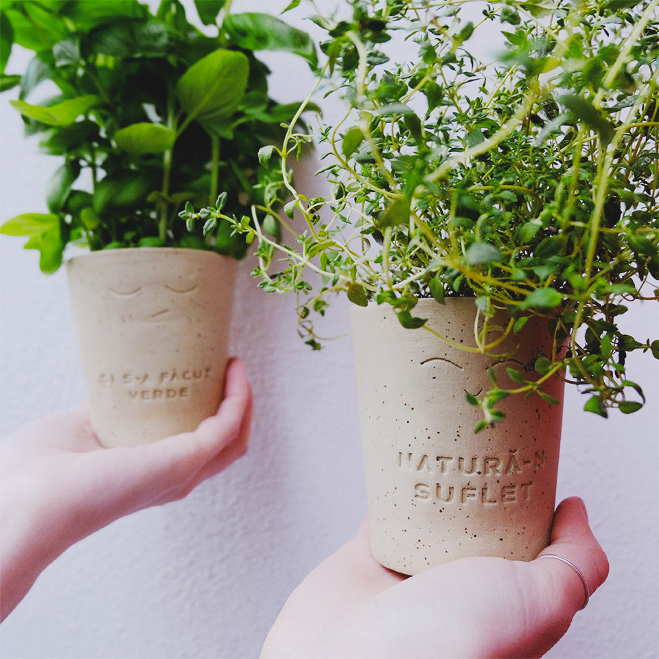 PLANTABLE Globe - BASIL