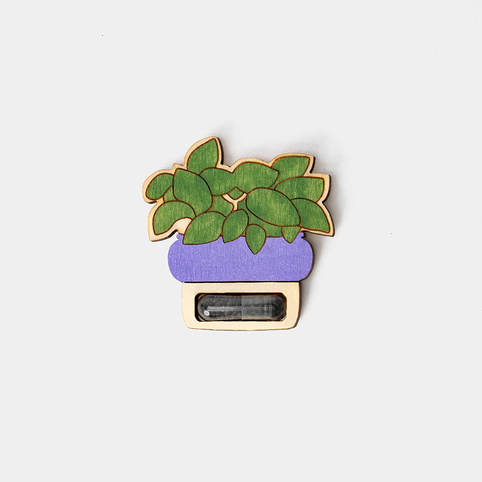 Plantable Spring Token Thyme/Basil