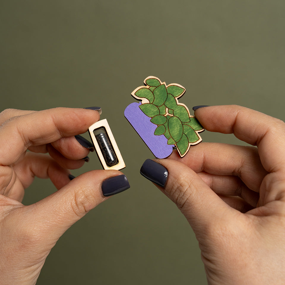 Plantable Spring Token Thyme/Basil