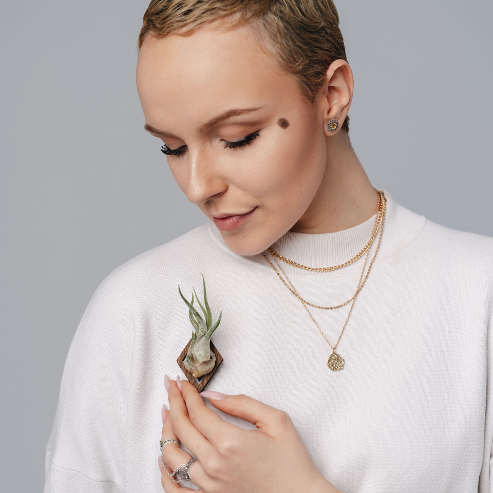 AIR PLANT Spring Token Caput Medusae Baby